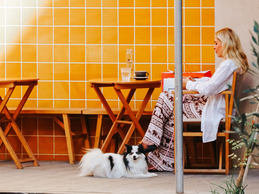 Pampered pooches and purr-fect pads: Hawthorn's guide to pet-friendly living