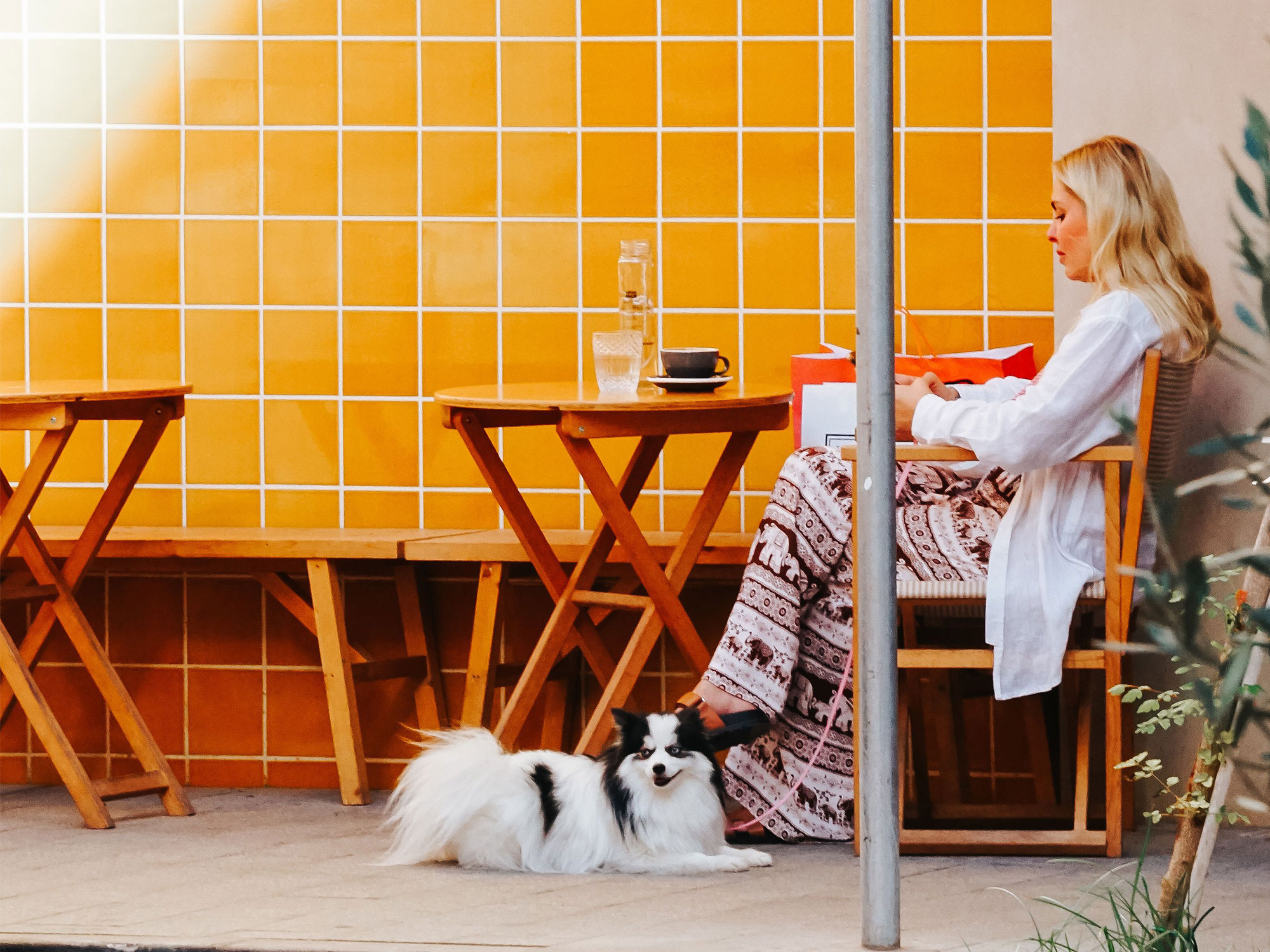 Pampered pooches and purr-fect pads: Hawthorn's guide to pet-friendly living